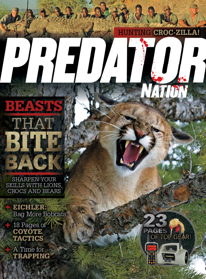 Predator Nation